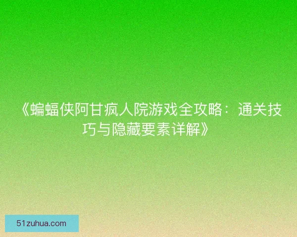 《蝙蝠侠阿甘疯人院游戏全攻略：通关技巧与隐藏要素详解》