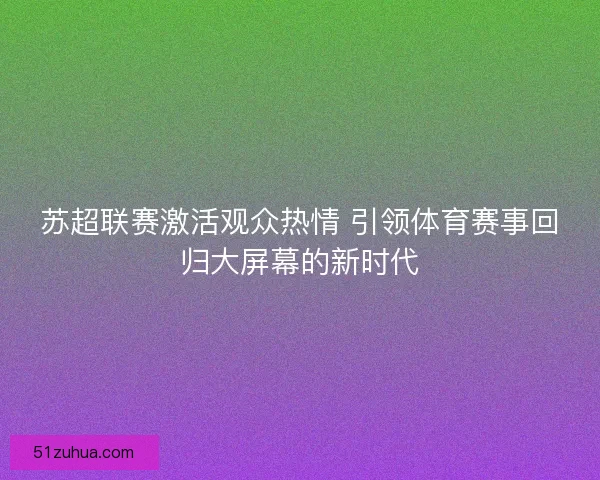 苏超联赛激活观众热情 引领体育赛事回归大屏幕的新时代