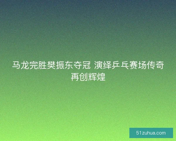 马龙完胜樊振东夺冠 演绎乒乓赛场传奇再创辉煌 马龙完胜樊振东夺冠 演绎乒乓赛场传奇再创辉煌
