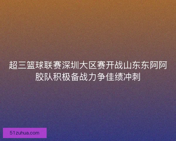 超三篮球联赛深圳大区赛开战山东东阿阿胶队积极备战力争佳绩冲刺